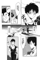 第 5 頁